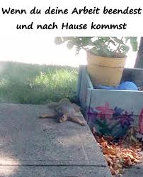 · kristian vogelbergkindergeflüster, vol.1℗ 2007 indigoteamreleased on. Wenn Du Deine Arbeit Beendest Und Nach Hause Kommst Xdpedia De 3481