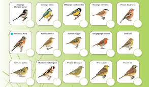 Désolés, nous n'avons pas pu traduire cette fiche produit en français. Compter Les Oiseaux Percer Sur Mars Et Trepaner Une Vache Liberation