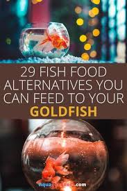 29 Fish Food Alternatives For Goldfish In 2020 Fish Recipes Goldfish Food Goldfish Care