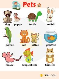 Learn Animals Vocabulary In English Eslbuzz Learning English Animals Name In English English Vocabulary English Lessons For Kids