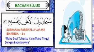 .setidaknya melaksanakan sholat 5 kali dalam sehari yaitu sholat fardhu yaitu subuh, dhuhur, ashar, maghrib, dan isya'. Bacaan Dalam Solat Dan Terjemahan Pdf