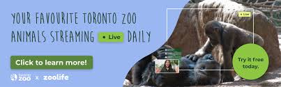 It's best to go early for parking spots. Toronto Zoo Home