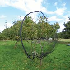 What fruit tree should you plant? Popadome Fruit Tree Cover Harrod Horticultural