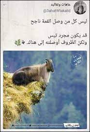 pin by hawra a on مضحك words of wisdom words quotes quotations