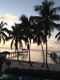 All things to do in key largo. 140 Key Largo Ideas Key Largo Florida Keys Florida