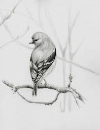 1452518e6cddcb6e5dd35bbe48465620 Jpg 492 640 Kus Sanat Cizim Egitimleri Sanatsal Baski