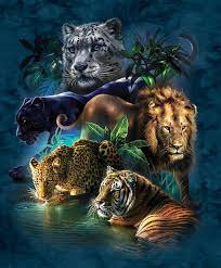 Big Cat Prowess 1000 Pieces Sunsout Puzzle Warehouse Big Cats Art Wild Cats Animals Wild