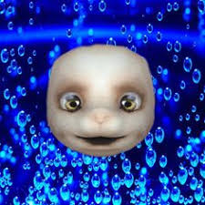 Daniel Bracamontes (danielborteg)