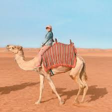Then this morning desert experience packs in a dubai camel ride, plus three other exciting activities. A Little Extra By Conny Wenk Camel Riding