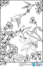 Pin On Bird Coloring Pages
