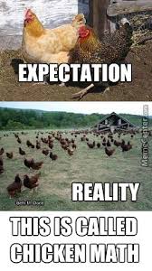 Chicken Math Chicken Humor Chicken Farm Funny Animals Here's another math meme that i posted on my facebook and it stumped a few friends. chicken humor chicken farm funny animals