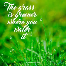The Grass Is Always Greener On The Other Side You Might Have Heard The Phrase The Grass Is Always Greener On The Other Side Of The Fence People Actua Wahm Quotes Network Marketing Quotes Quote Of The Day