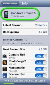The Icloud Storage Info Settings Page For A Specific Iphone Icloud Iphone Info Iphone