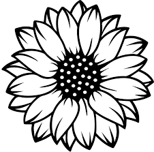 Misskyliedesign Free And Premium Design Resources