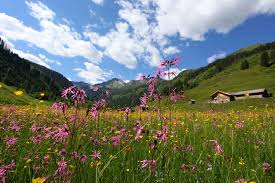 21,571 likes · 662 talking about this · 33,050 were here. Salzburg Grossarltal Wandererlebnisosterreich