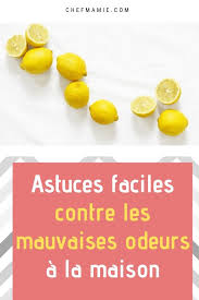 Astuces Faciles Contre Les Mauvaises Odeurs A La Maison En 2020 Mauvaise Odeur Odeurs De Maison Odeur