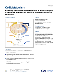This information can be used to improve crops so that they are more resistant to disease, insect. Pdf Rewiring Of Glutamine Metabolism Is A Bioenergetic Adaptation Of Human Cells With Mitochondrial Dna Mutations