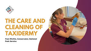 The Care and Cleaning of Taxidermy Webinar