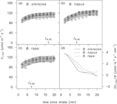 Do more with bing maps. During Photosynthetic Induction Biochemical And Stomatal Limitations Differ Between Brassica Crops Taylor 2020 Plant Cell Amp Environment Wiley Online Library