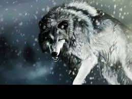 Customize and personalise your desktop, mobile phone and tablet with these free wallpapers! Animated Wolf Wallpaper Youtube