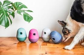 High Design Distracting Pet Toys The Game 1