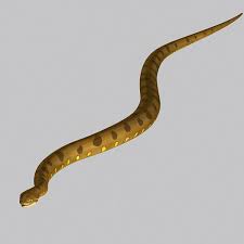 View Detail Here Http Www Turbosquid Com 3d Models Max Anaconda 723853