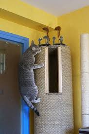 Diy Hollow Cat Tree Instructions In French But The Pictures Are Easy To Follow You Could Do The Same Wit Diy Cat Tree Cat Trees Homemade Diy Stuffed Animals