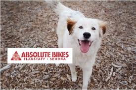 The higher a pet's rarity is, the more tasks you have to complete in order for them to level up to the next growth stage. Absolute Bikes Adoption Event Signals Az