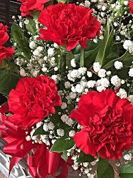 Pin On Flowers
