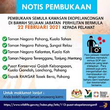 3 varieti) adalah rendah jika dibandingkan dengan kawasan tanah rendah yang lain seperti. Notis Pembukaan Kawasan Ekopelancongan Di Bawah Seliaan Jabatan Perhilitan Bermula 22 Februari 2021