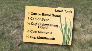 I fed the auto flower with the mix and i. Beer Mouthwash Mix Said To Revive Dull Lawns Youtube