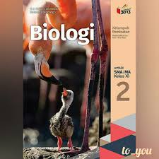 Jan 28, 2021 · download buku biologi kelas 11 penerbit erlangga pdf irnaningtyas &mldr; Buku Paket Biologi Erlangga Kelas Xi