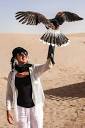 Falconry and Wildlife Safari in the Dubai Desert Conservation ...