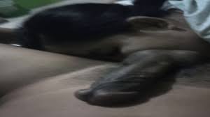 Porn Terbaru - EPORNER