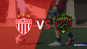 Juarez, the apertura 2015 champion. Jnjwrk395dxuvm