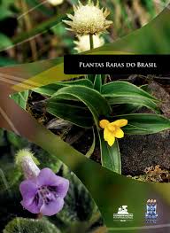 Image result for Nectaropetalum carvalhoi