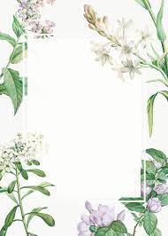 Vintage Blank Various Flowers Themed Frame Transparent Png Free Image By Rawpixel Com Gold Wallpaper Background Photo Frame Wallpaper Pink Clouds Wallpaper