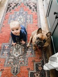 What you need to know. Why We Switched To Aptive Pest Control Lovely Lucky Life