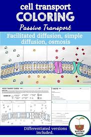 Learn vocabulary, terms, and more with flashcards, games, and other study tools. Homeostasis And Cell Transport Skills Worksheet Answers Nidecmege