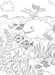 epingle sur coloring book fish sea life seashells coloriages de paraguay gratuits