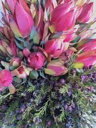 Leucadendron Flower Arrangement Australian Flowers Australian Plants Native Garden
