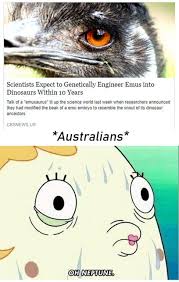 Australia What Are You Doing Emu War History Nerd Emu