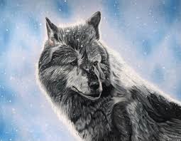 Sundance 2021 stars in unforgettable early roles. Lone Wolf Me Coloured Pencils 2021 Art