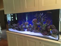 Save with a combo ticket. Aquariumservices Hashtag On Twitter