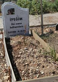 Mezitli Belediyesi Hayvan Mezarligi Anilari Barindiriyor Mersin Haber