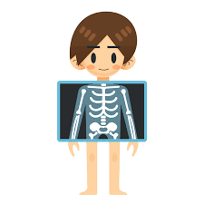Are you searching for x ray png images or vector? Vector Illustration Cartoon Patient Man Character With X Ray Screen Show Bones Tasmeemme Com
