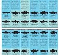 Top Spots for California Fishing in 2012 - Game & Fish