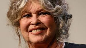 There's something insanely respectable about brigitte bardot. Ein Schuss Daneben Journal21