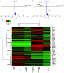 Prominent delta sdn bhd is an enterprise located in malaysia, with the main office in kuala lumpur. Pilot Study And Bioinformatics Analysis Of Differentially Expressed Genes In Adipose Tissues Of Rats With Excess Dietary Intake