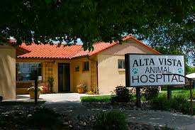 We at central houston animal hospital continuously strive to make improvements in the health and comfort of your pets. Alta Vista Animal Hospital